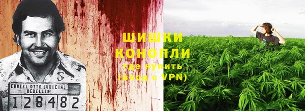 скорость Алзамай