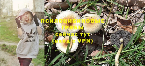 скорость Алзамай